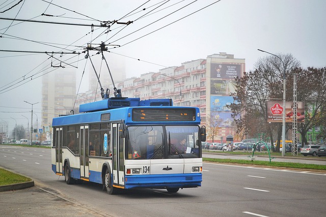 Транспортные предприятия, осуществляющие пассажирские перевозки в Саранске